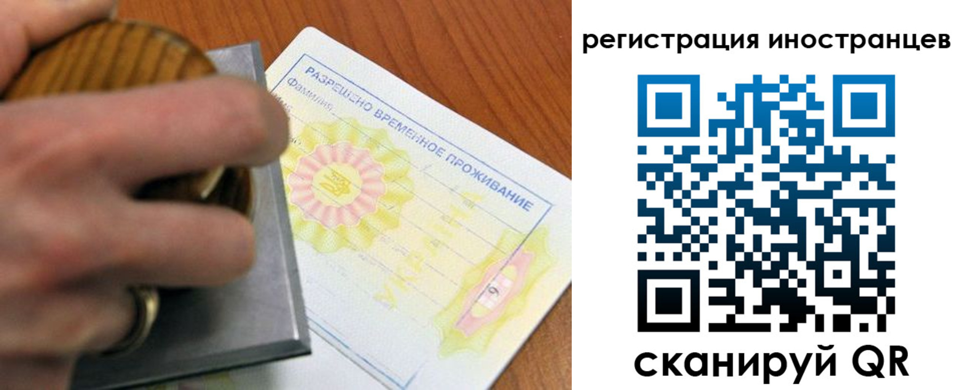 прописка поиск в Челябинске